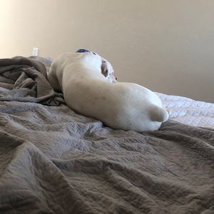 Meet your Posher, Meredith